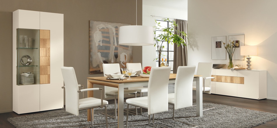 elegant-contemporary-dining-room